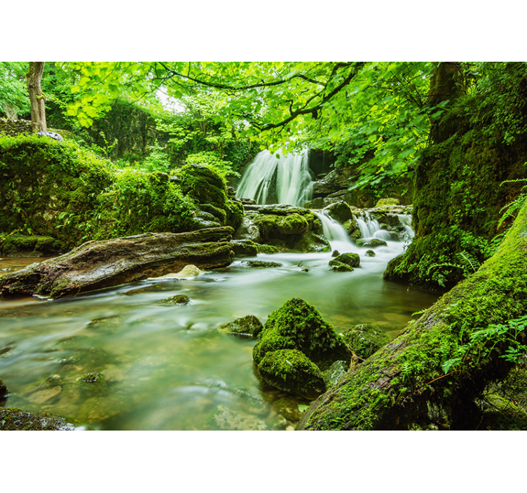 Fotomurale natura cascata - TenStickers
