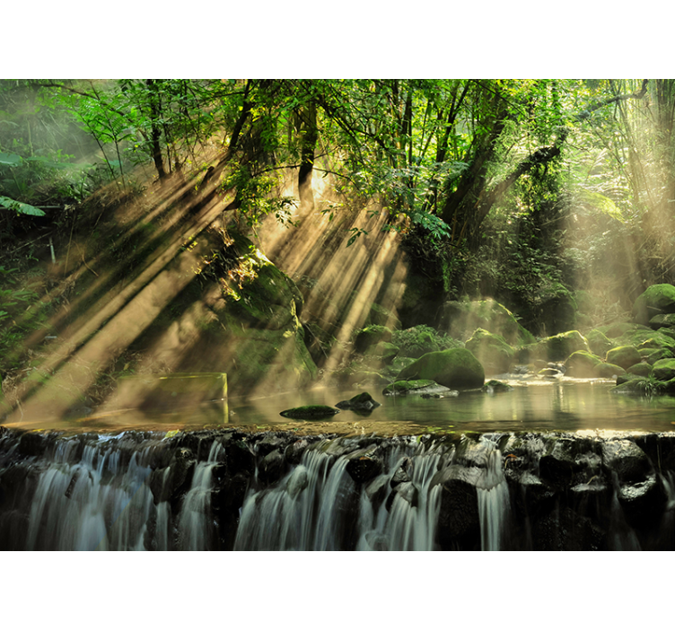 Il fotomurale foresta segreta - TenStickers