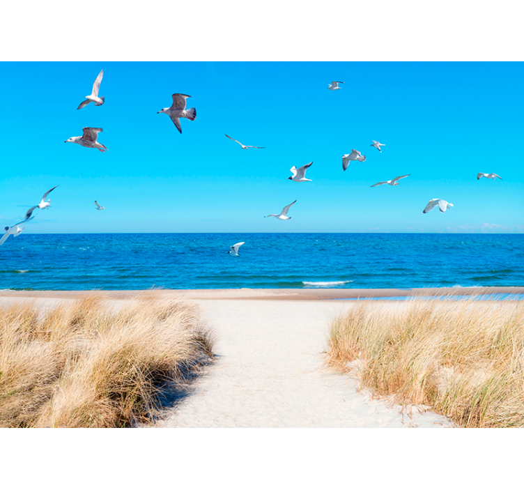 Fotomurale mare serenità del mare - TenStickers