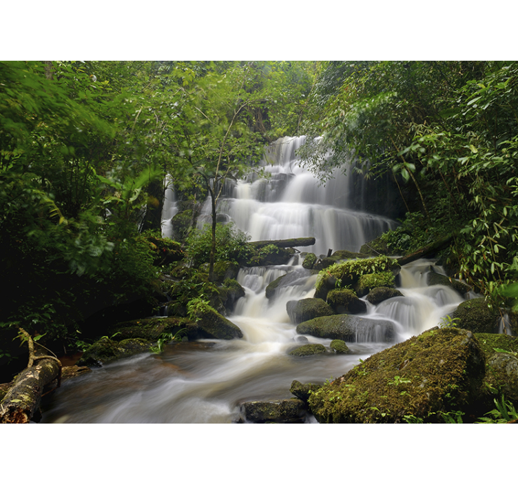 Fotomurale foresta e cascate - TenStickers