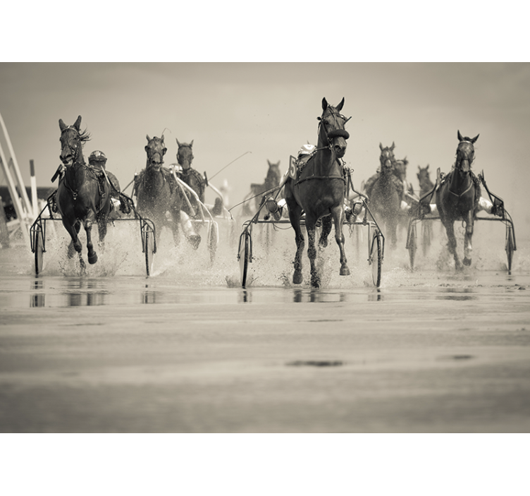 Fotomurale animali cavalli che corrono insieme - TenStickers