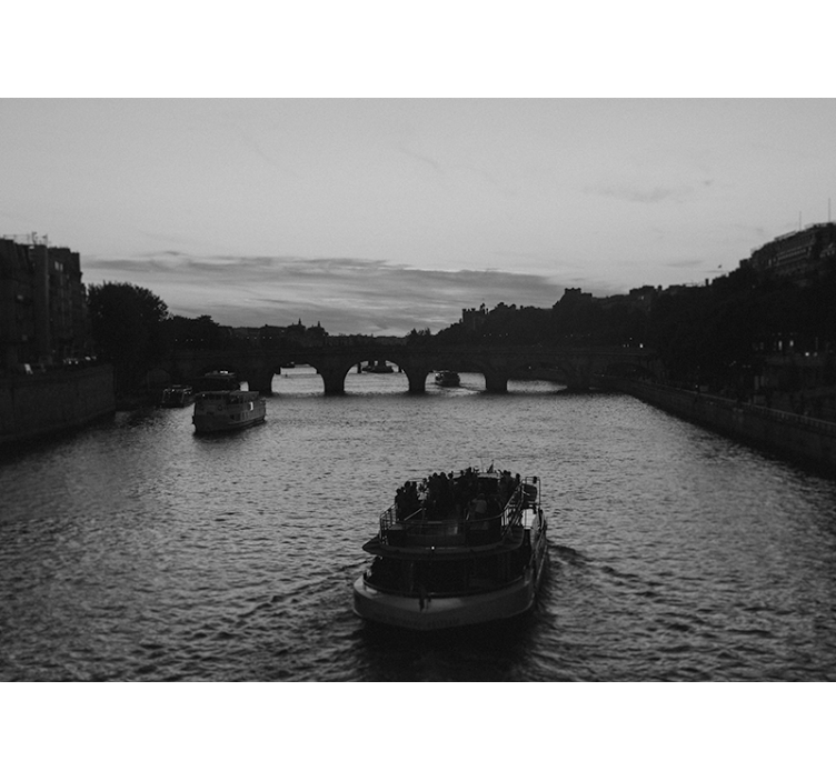 Fotomurale città vista sul fiume di parigi - TenStickers
