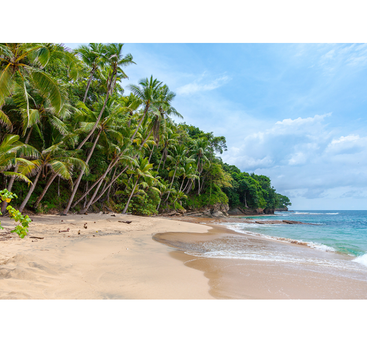 Fotomurali natura oasi tropicale sulla spiaggia - TenStickers