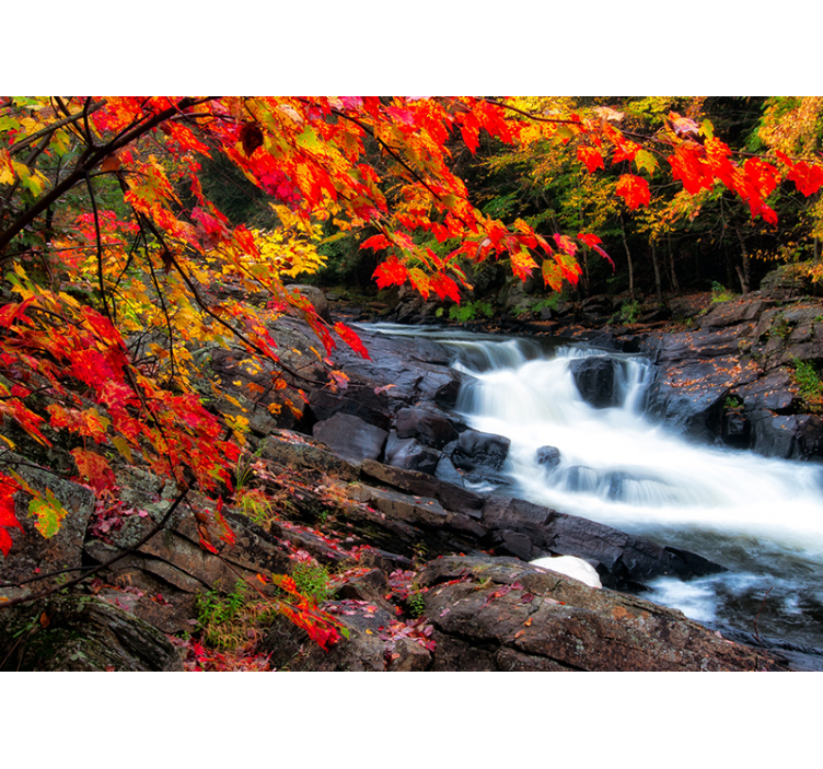 Fotomurale foresta paesaggio autunnale con cascata - TenStickers