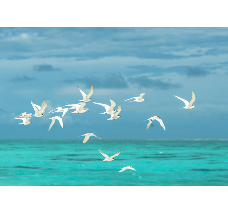Fotomurali natura uccelli in volo paesaggistici - TenStickers