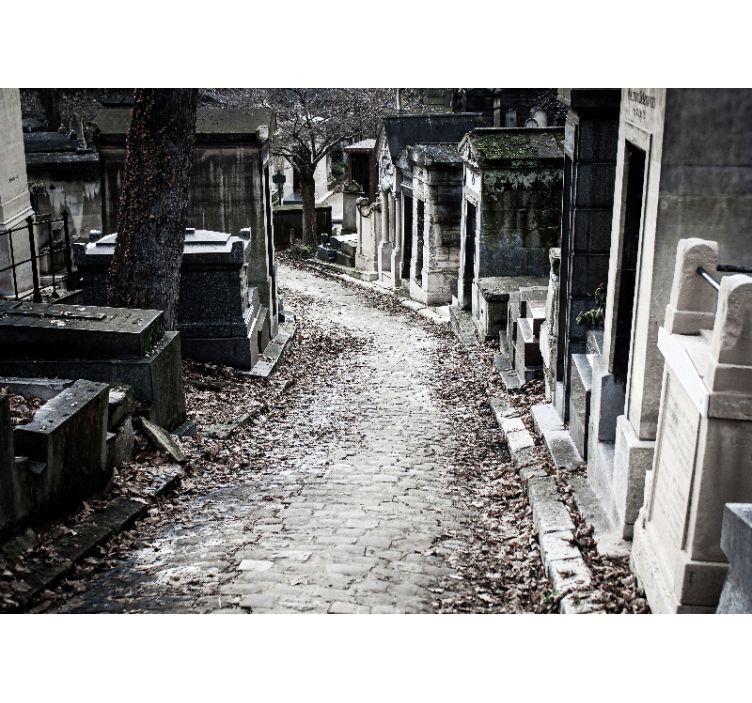 Fotomurali città e paesi scena del sentiero del cimitero - TenStickers