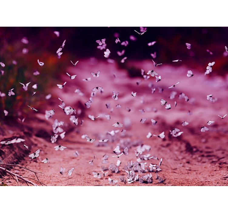 Fotomurale fiori delicata danza delle farfalle - TenStickers