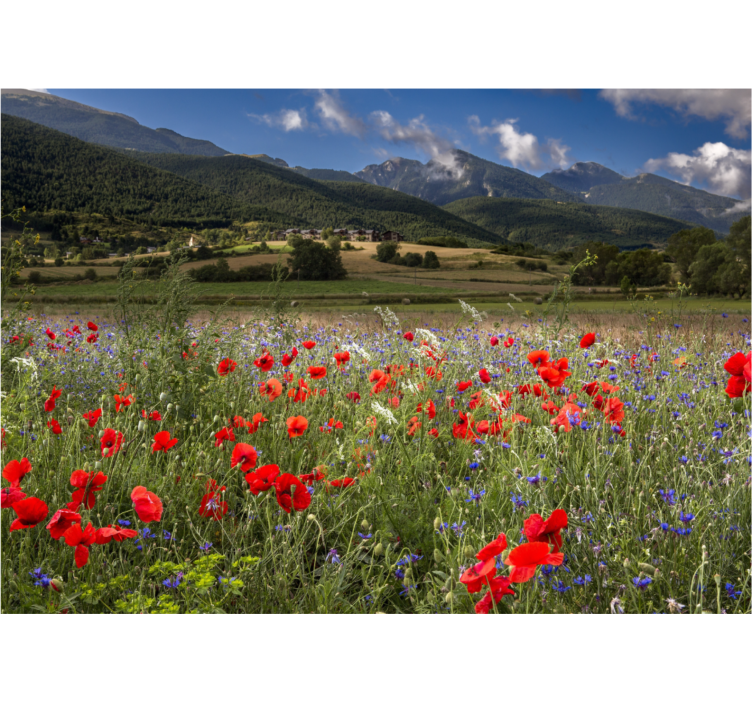 Fotomurale fiori vista di un campo di papaveri - TenStickers