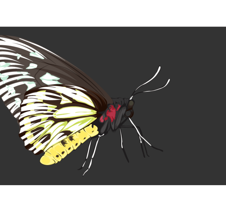 Fotomurale fiori disegno farfalla gialla - TenStickers