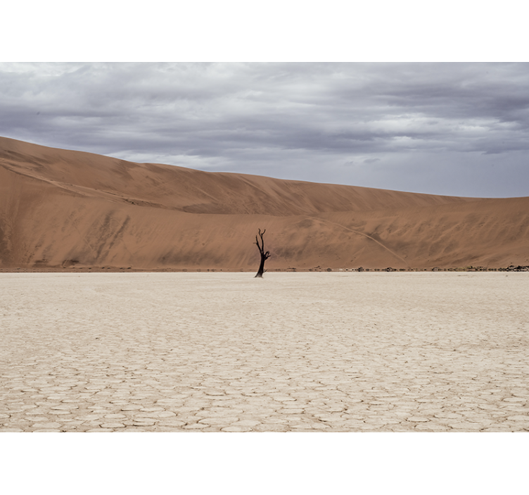 Fotomurale montagna panorama desertico - TenStickers