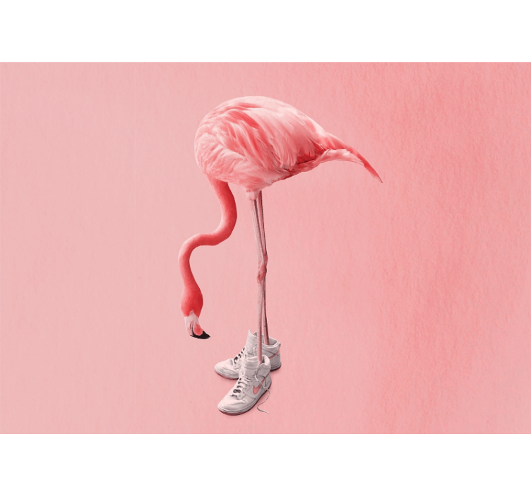 Fotomurali animali diversi flamingo in sneakers - TenStickers