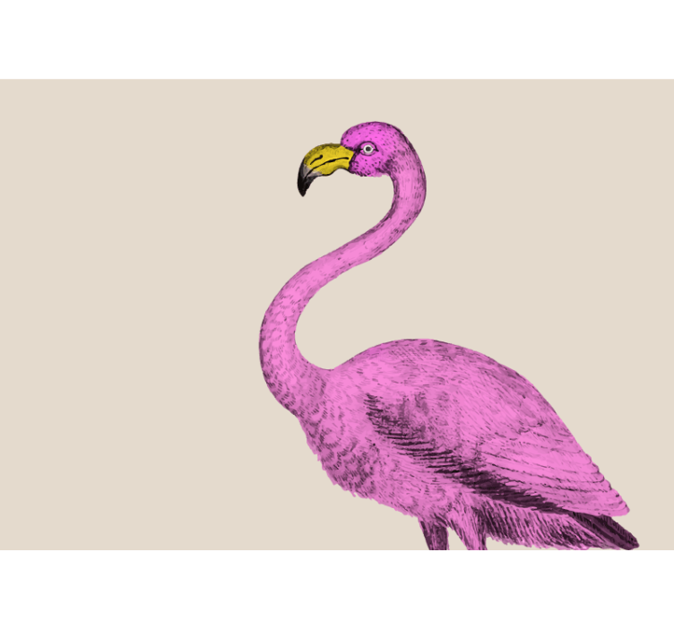 Fotomurale animali eleganza del flamingo rosa - TenStickers
