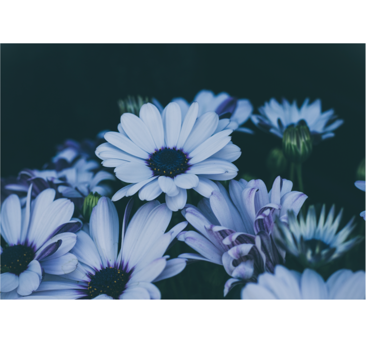 Fotomurale fiori composizione floreale serene - TenStickers