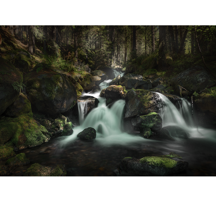Fotomurali cascate ruscello forestale tranquillo - TenStickers