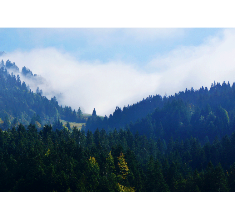 Fotomurali natura montagne e nebbia - TenStickers