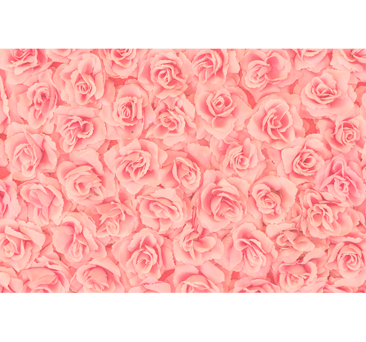 Fotomurale fiori rose in fiore - TenStickers