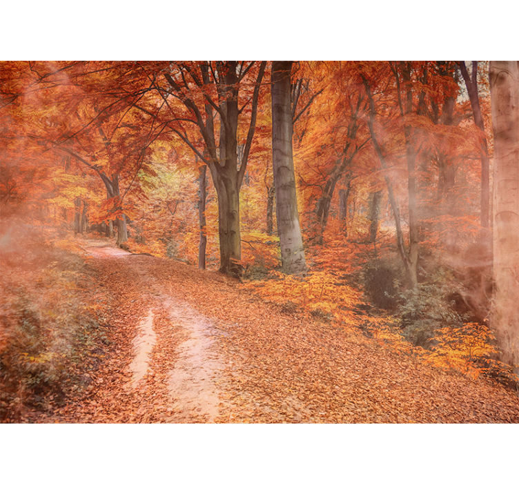 Fotomurali natura sentiero d'autunno - TenStickers