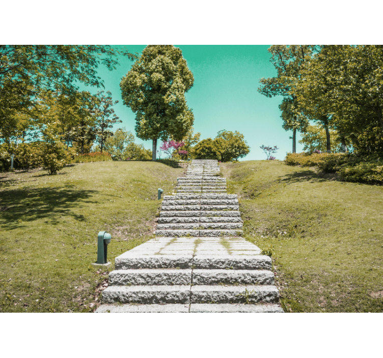 Fotomurali natura scala nella natura - TenStickers