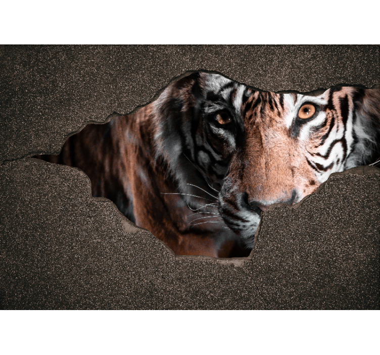 Fotomurali animali diversi primo piano di tigre - TenStickers