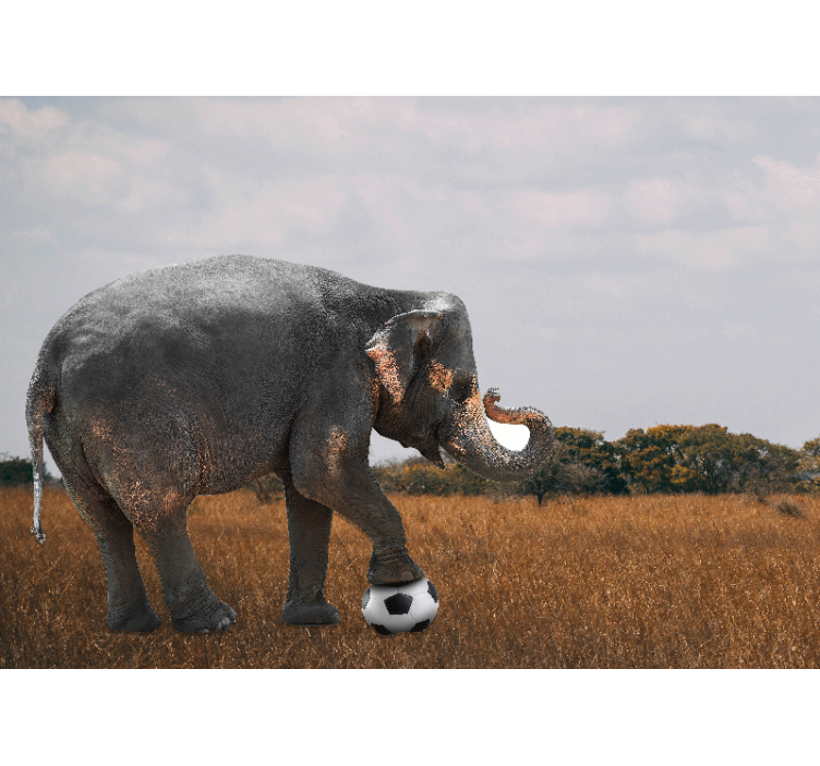 Fotomurali animali diversi elefante che gioca a calcio - TenStickers