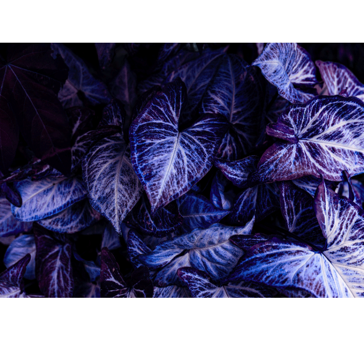 Fotomurale soggiorno motivi di foglie viola - TenStickers