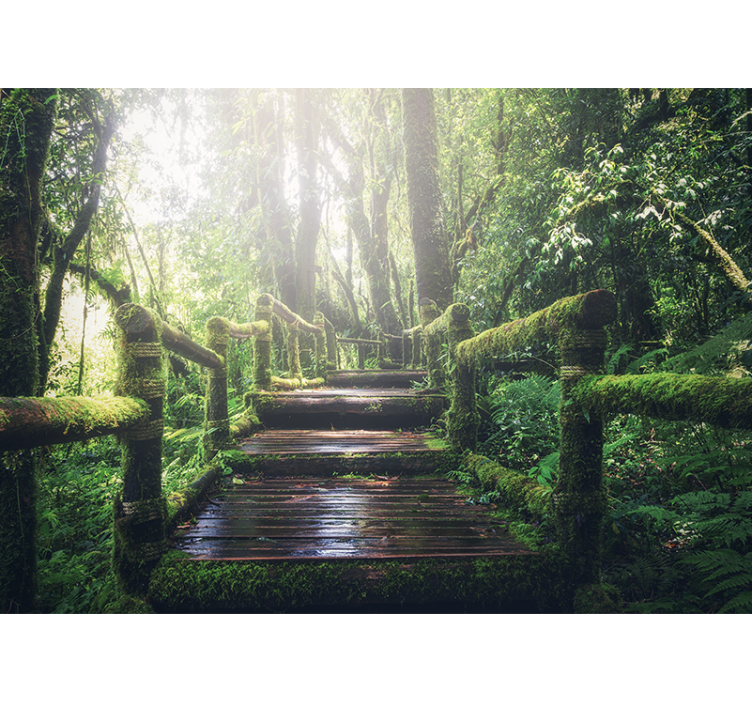 Fotomurali natura sentiero boscoso lussureggiante - TenStickers
