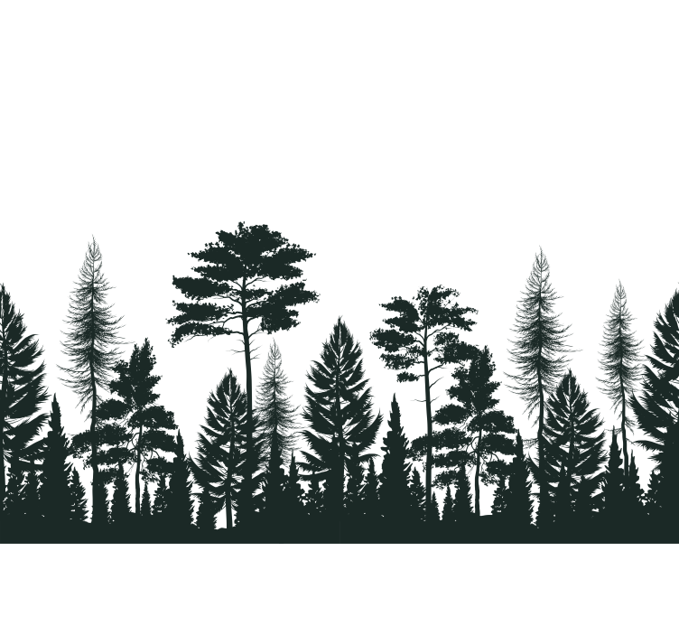 Fotomurali natura alberi sempreverdi silhouette - TenStickers