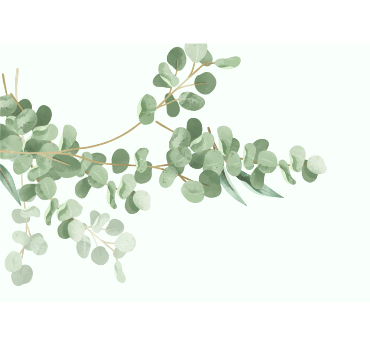 Fotomurali fiori diversi composizione di foglie di eucalipto - TenStickers