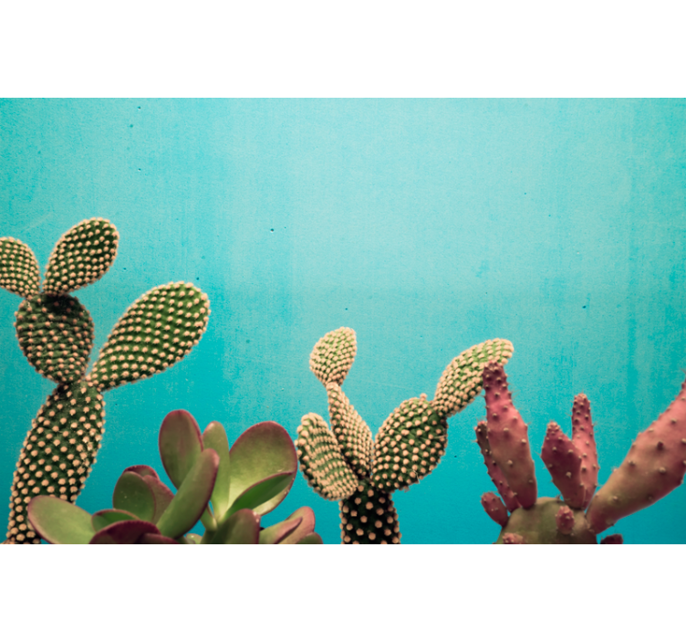 Fotomurale fiori diversi Piante di cactus parete blu - TenStickers