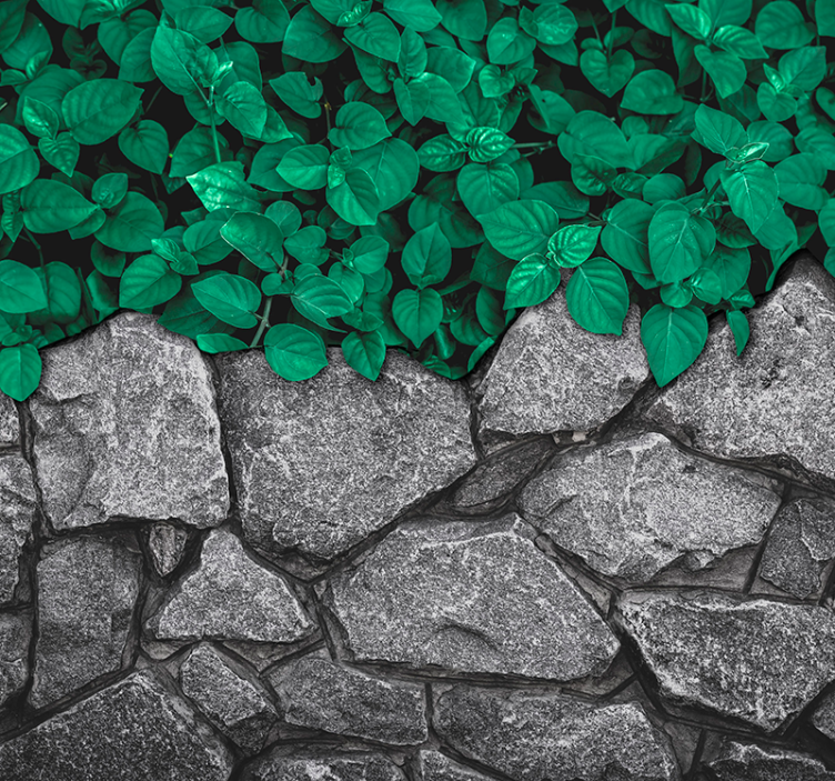 Immagini carta da parati salotto foglie e pietre - TenStickers