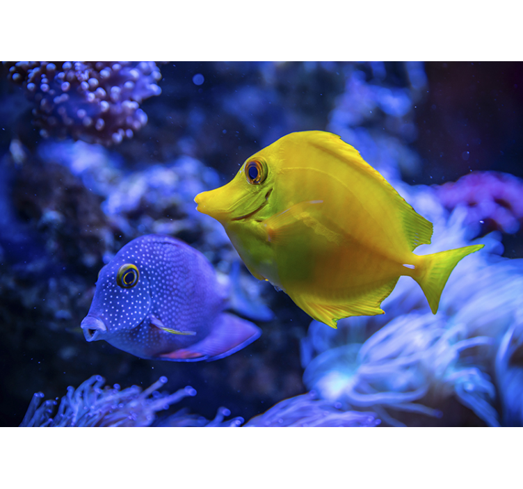 Fotomurale animali scena di vita acquatica - TenStickers