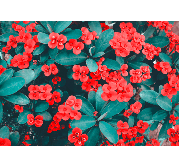 Fotomurale fiori composizione floreale rossa - TenStickers