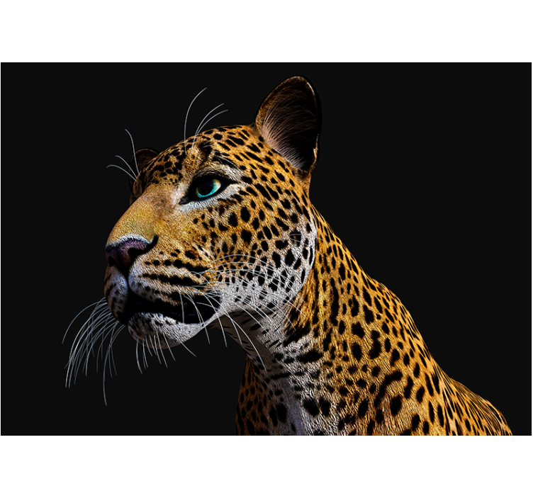 Fotomurale animali leopardo zoom-in - TenStickers