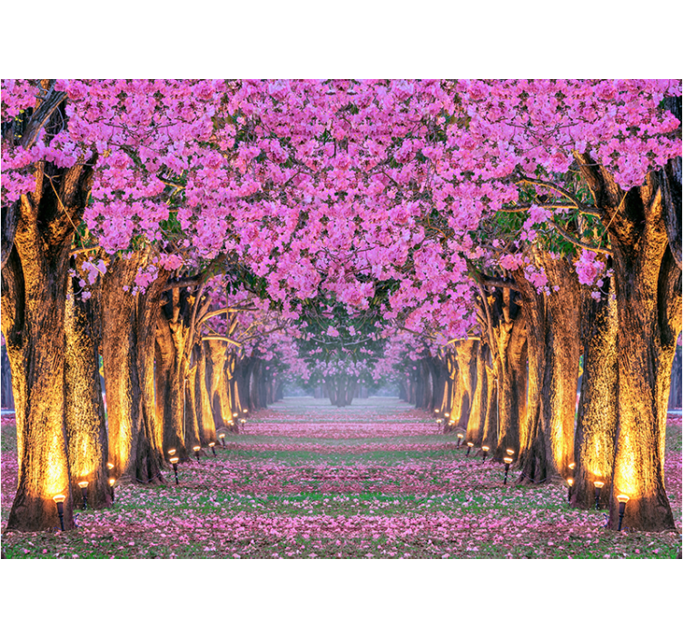 Fotomurali fiori diversi sentiero rosa in fiore - TenStickers