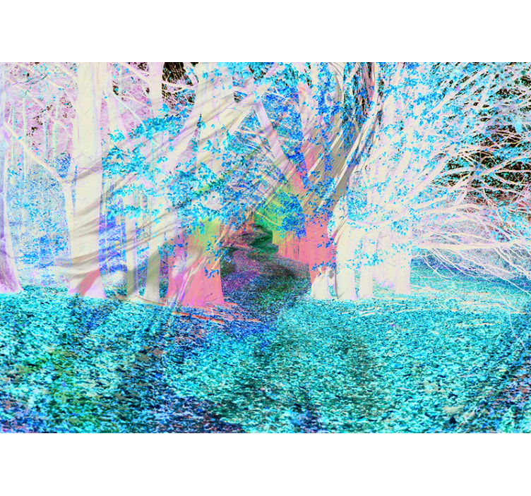 Fotomurale foresta sentiero autunnale - TenStickers