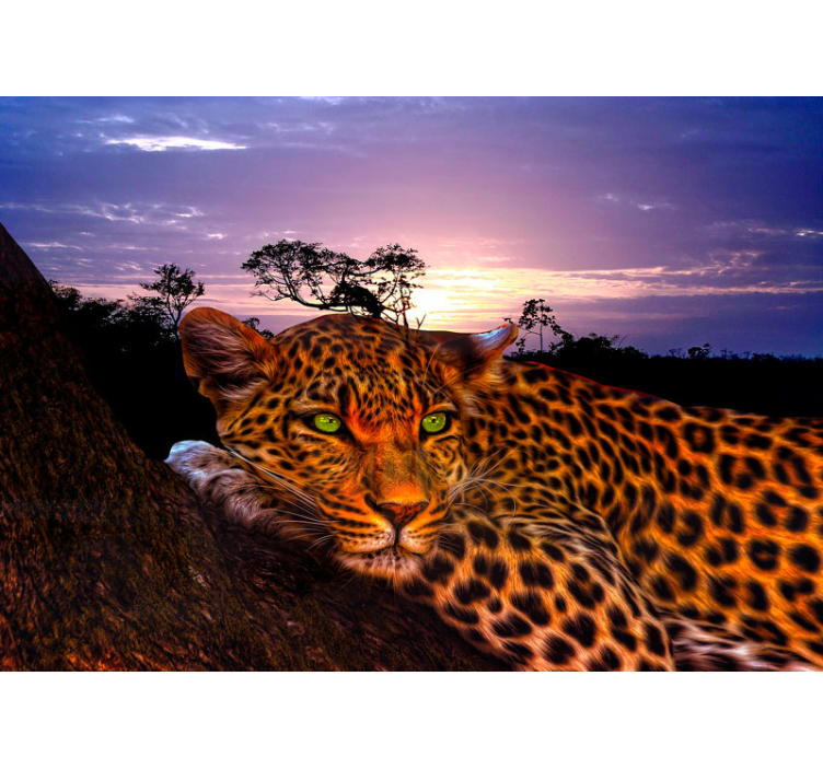 Fotomurali leone maestoso sguardo di leopardo - TenStickers