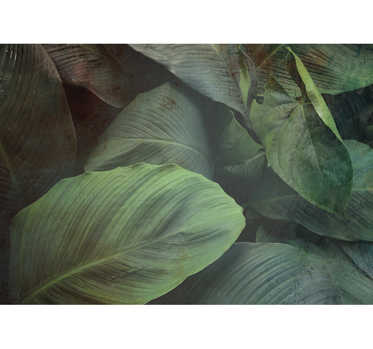 Fotomurali natura texture foglie tropicali - TenStickers