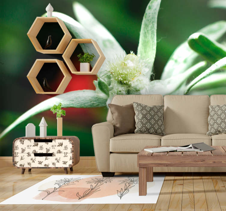 Fotomurale con fiori differenti stella alpina - TenStickers