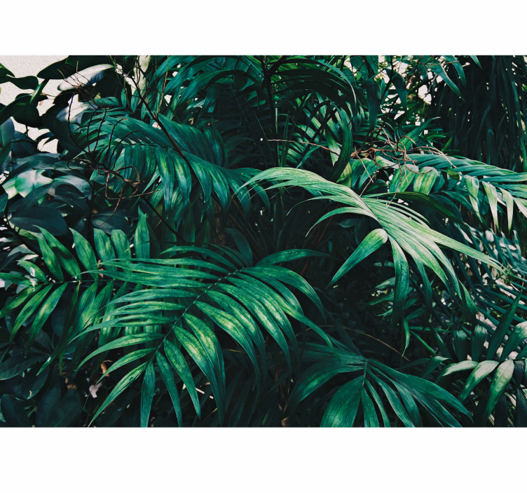 Fotomurali natura fogliame vibrante - TenStickers