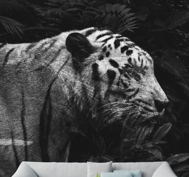 Fotomurale animali maestosa tigre bianca - TenStickers