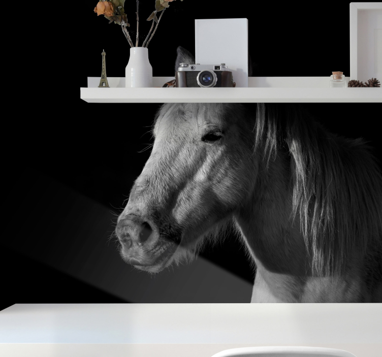 Fotomurale animali ritratto di cavallo maestoso - TenStickers