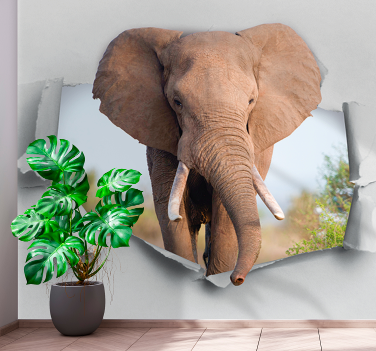 Fotomurale animali ritratto di elefante maestoso - TenStickers