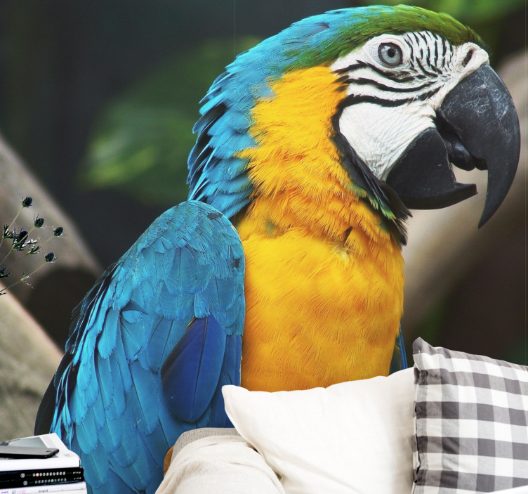 Fotomurale animali ritratto di uccello ara - TenStickers