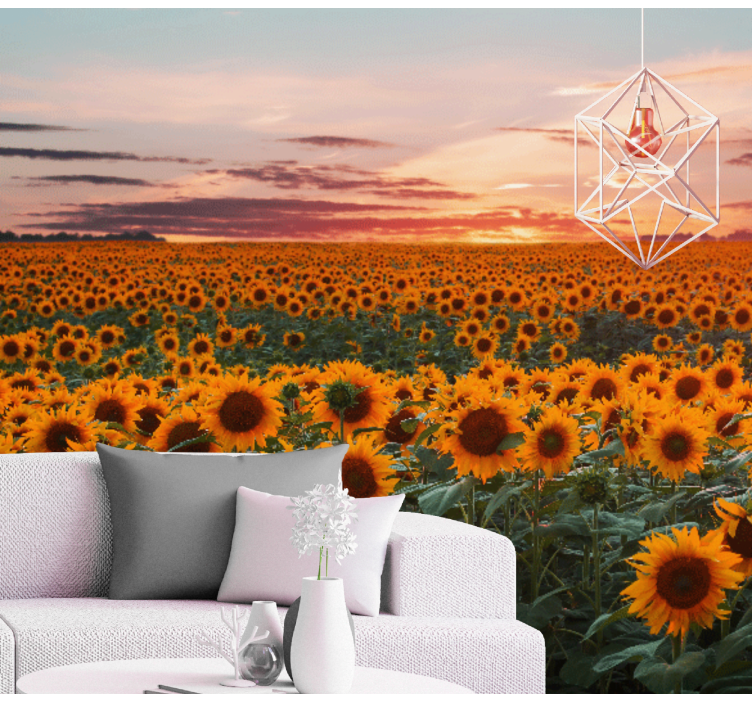Fotomurale fiori tramonto sul prato di girasoli - TenStickers