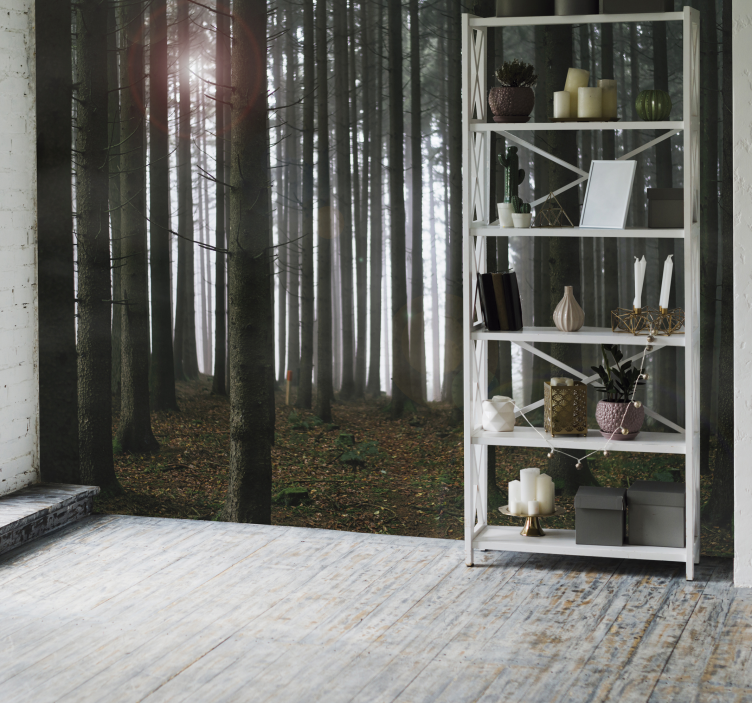 Favoloso fotomurale con foresta di conifere - TenStickers