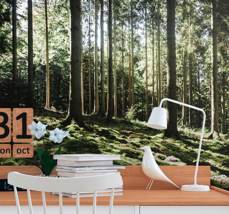 Fotomurale foresta scena di foresta tranquilla - TenStickers