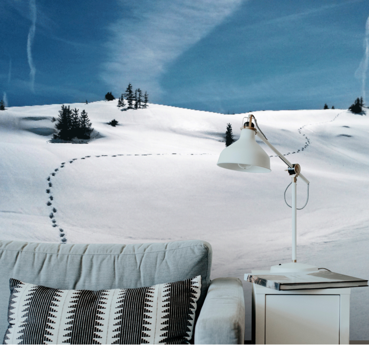 Fotomurale montagna sentiero di montagna innevato - TenStickers