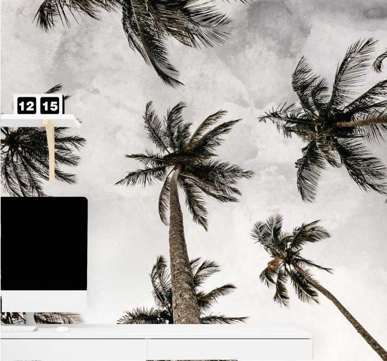 Fotomurali natura chioma di palma - TenStickers