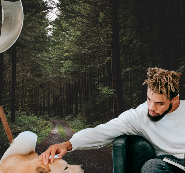 Fotomurali natura sentiero boscoso verdeggiante - TenStickers