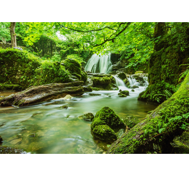 Fotomurale natura cascata - TenStickers